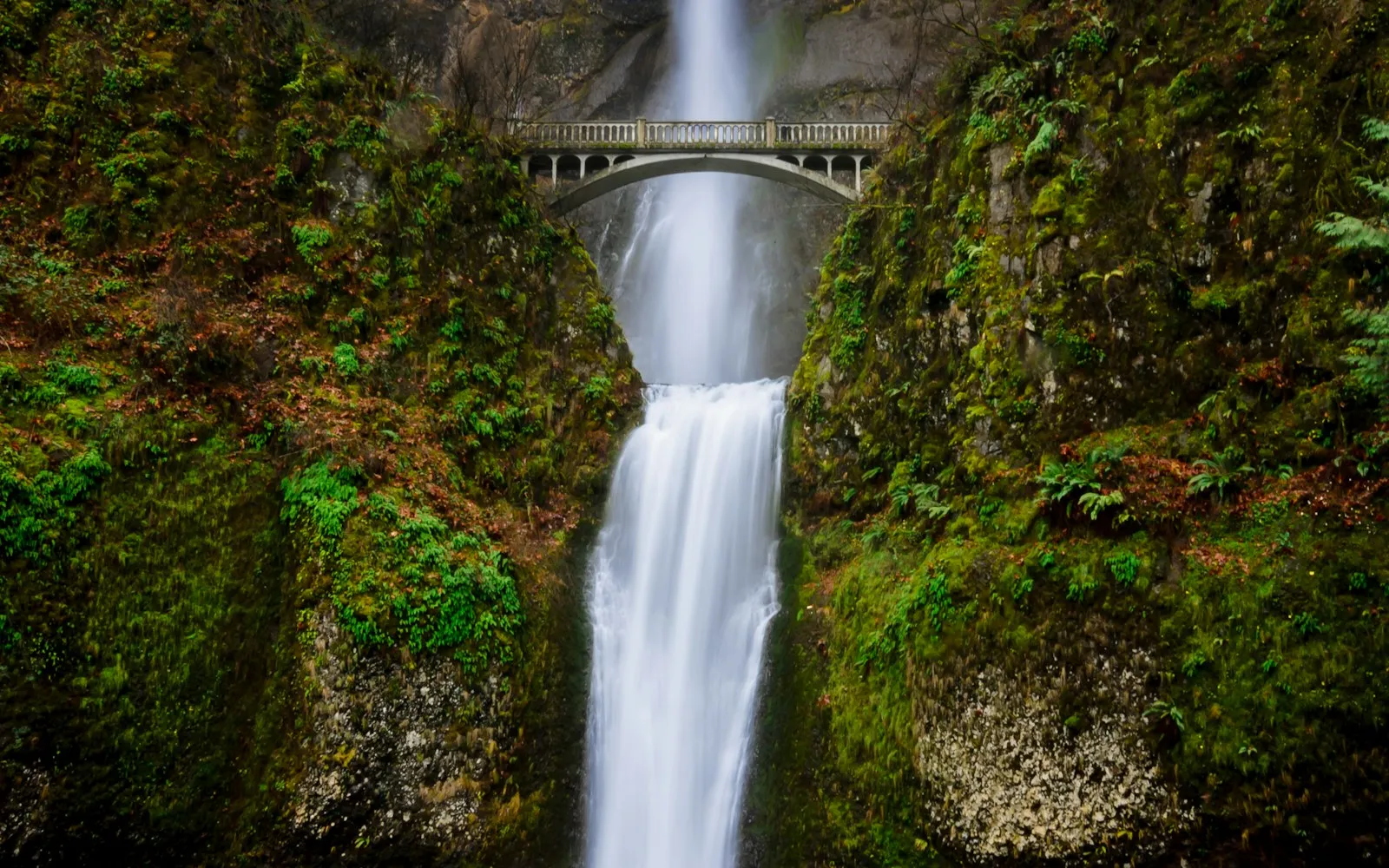A tall waterfall descending through a green forest