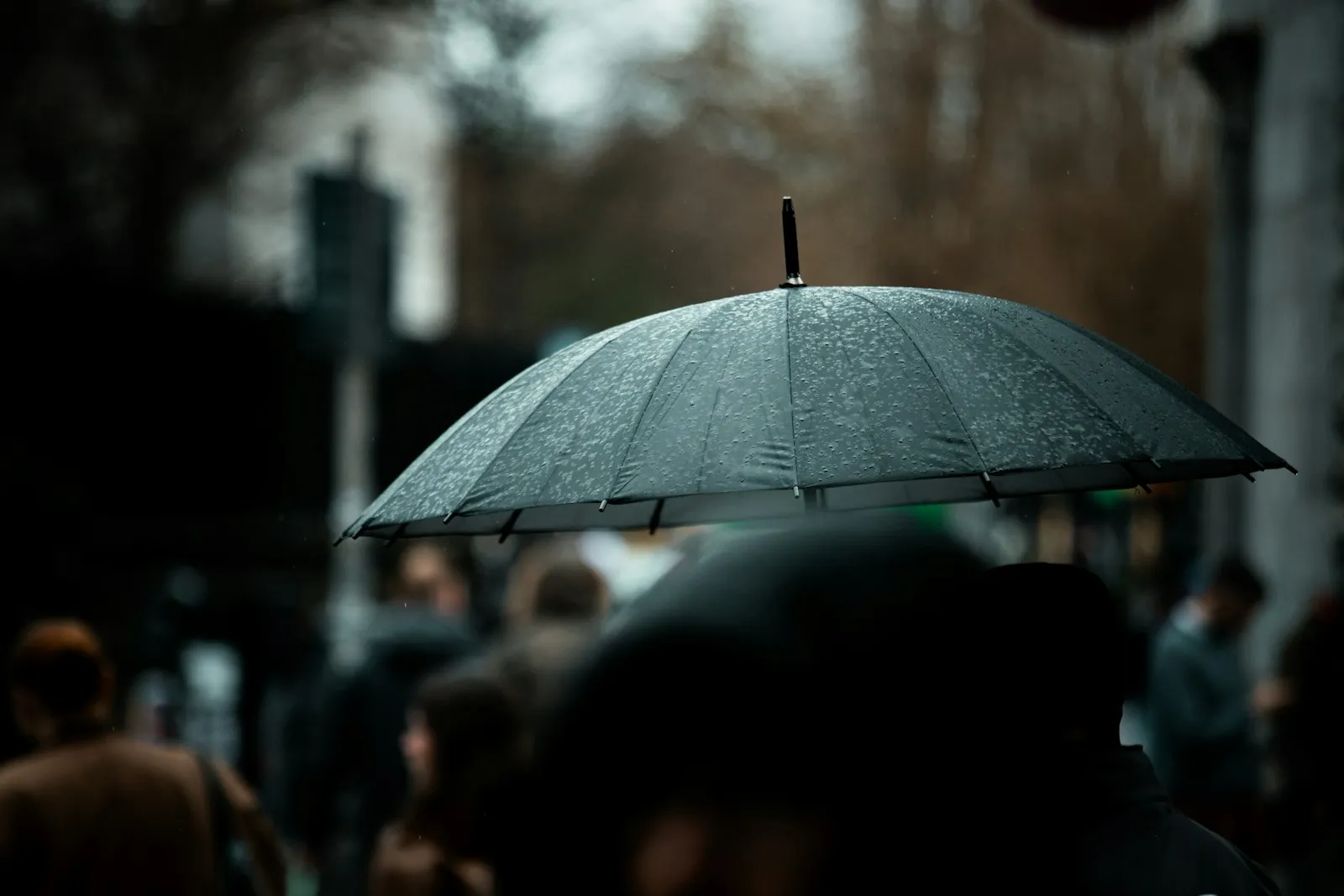 A person carrying an umbrella in the rain
